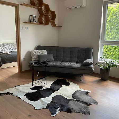 Hexagon Apartman Szeged Bagian luar foto